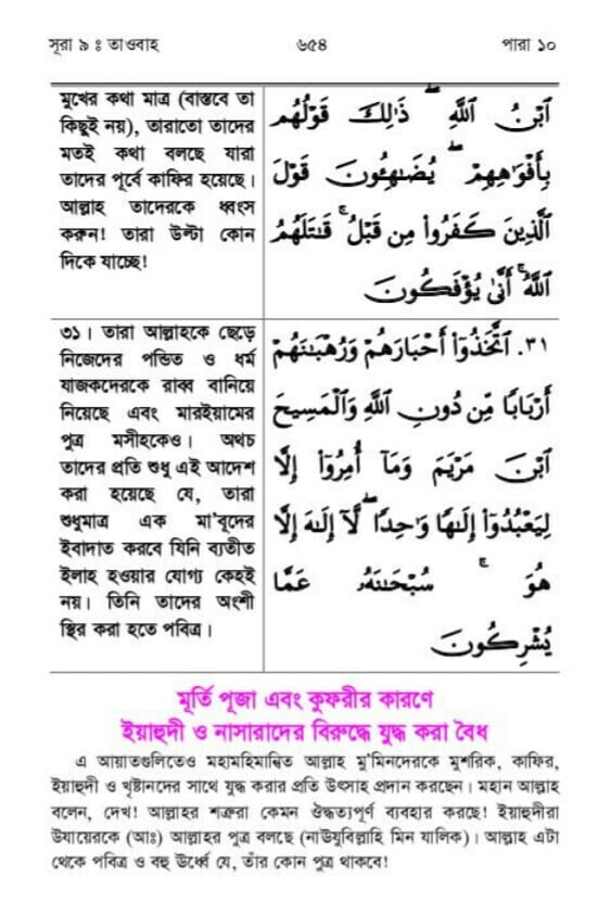 জিজিয়া 19