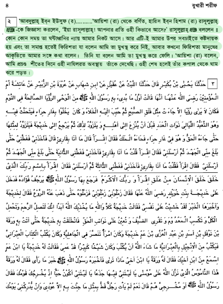 শয়তানের আয়াত 93