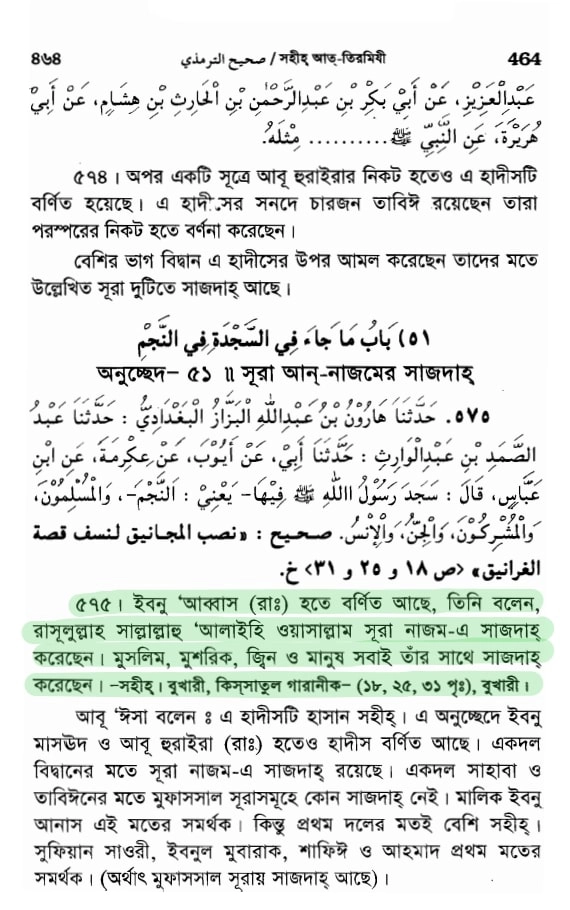 শয়তানের আয়াত 31