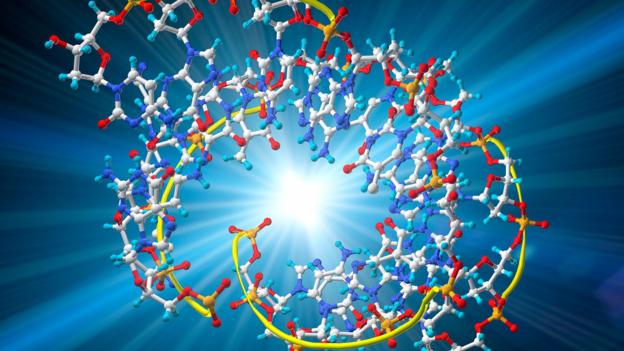 যেভাবে জীবনের শুরু: প্রথম স্বয়ম্ভূর খোঁজে 8 A molecule of threose nucleic acid (TNA)