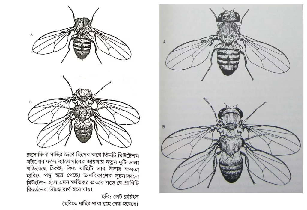 'হোমো স্যাপিয়েন্স' থেকে চৌর্যবৃত্তির দশটি নিদর্শন 27 হোমো স্যাপিয়েন্স 26