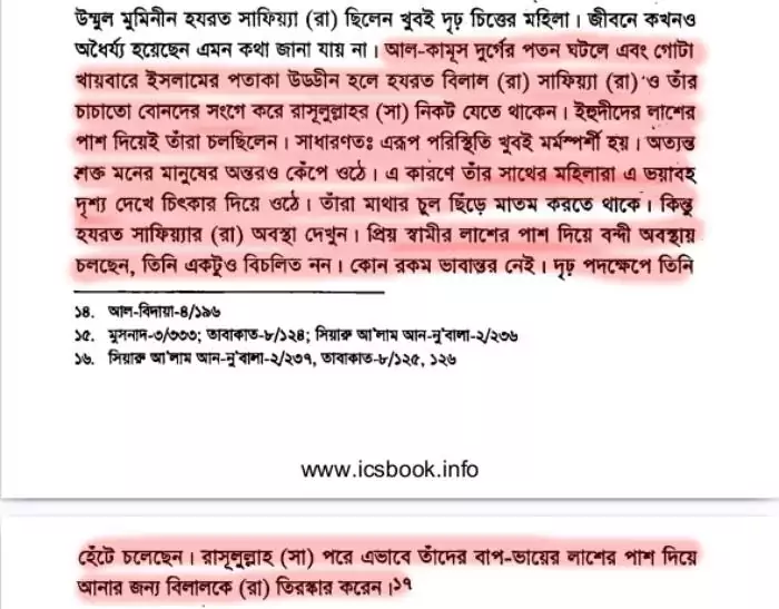 সাফিয়্যাকে নবীর গালাগালির কারণ 4 সাফিয়্যা 3