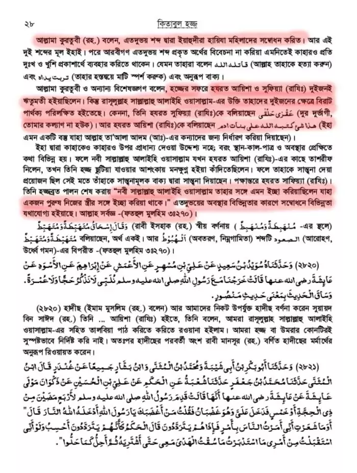 সাফিয়্যাকে নবীর গালাগালির কারণ 7 সাফিয়্যা 6