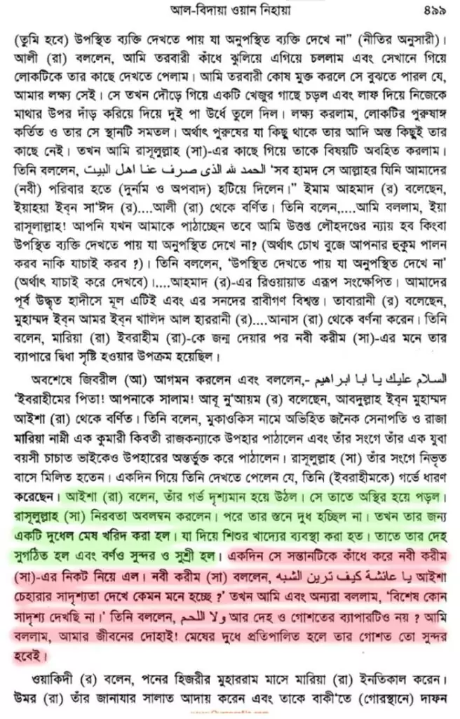সাফিয়্যাকে নবীর গালাগালির কারণ 13 সাফিয়্যা 12