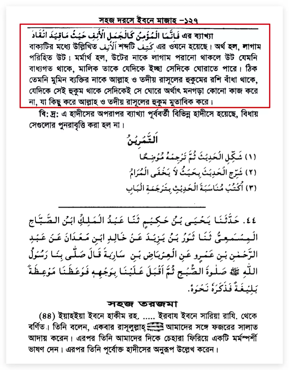 মুমিন হচ্ছে নাকে দড়ি বাধা উট মুমিন