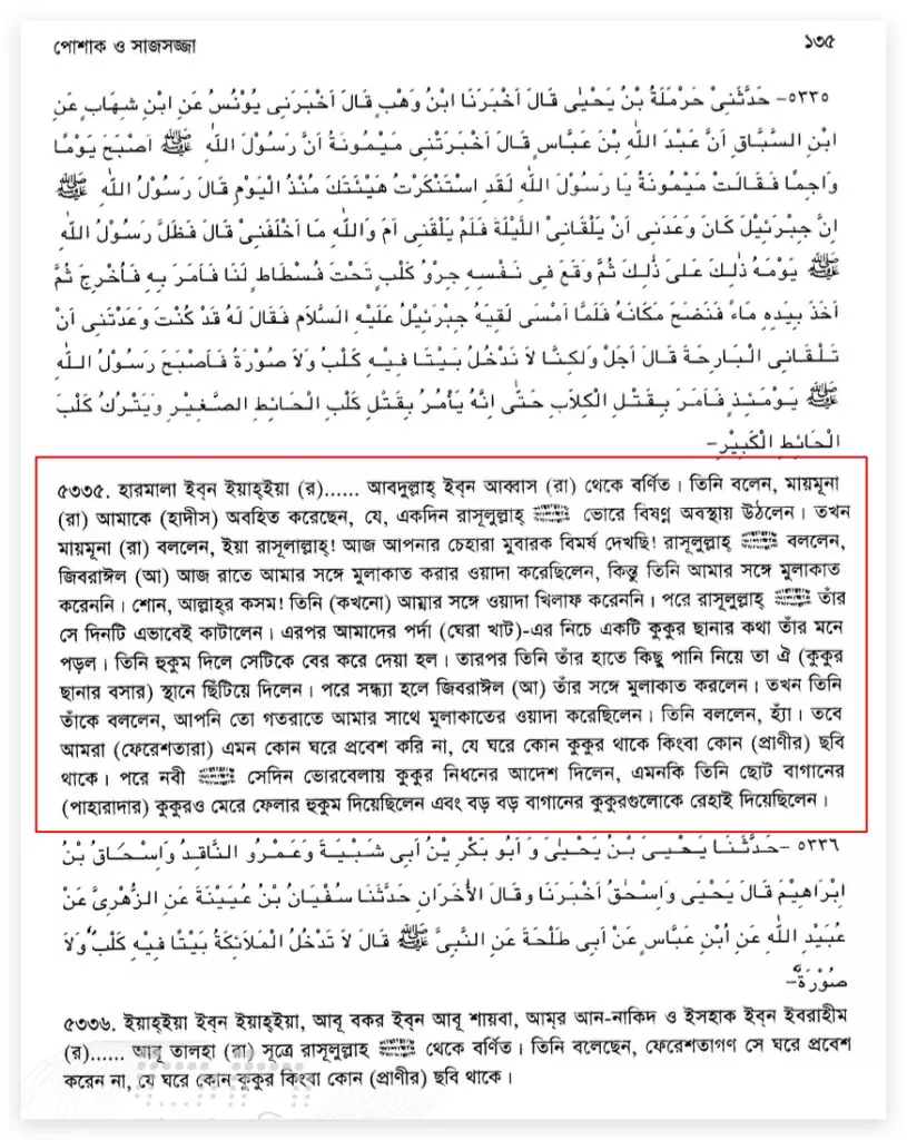নিষ্পাপ প্রাণি হত্যাকারী ছিলেন নবী প্রাণি