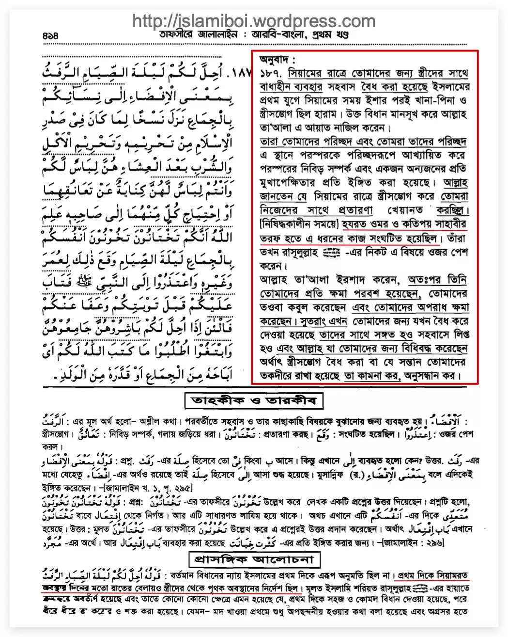 কোরআন 81