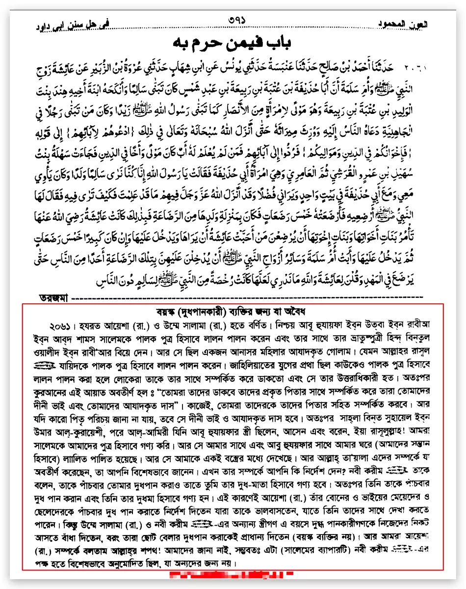 কোরআন 61