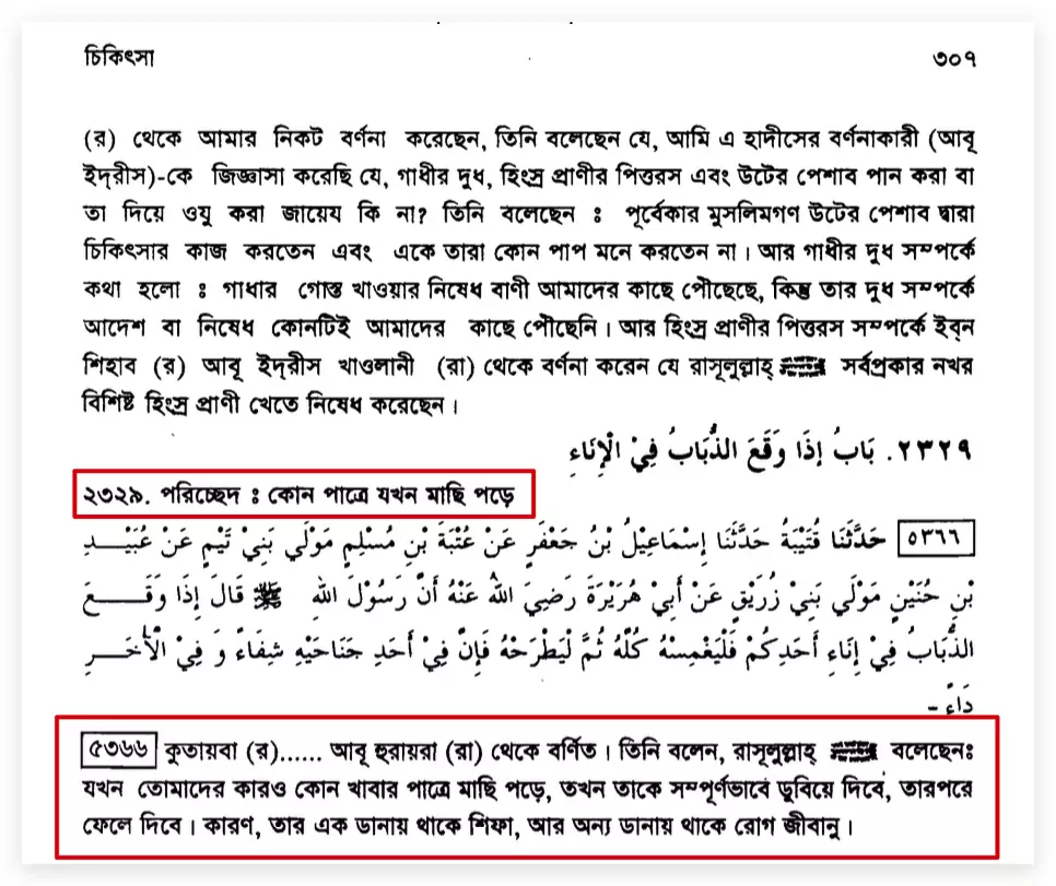 মাছি পানিতে ডুবিয়ে খেতেন নবী মাছি