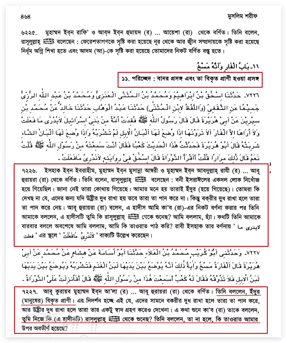 মানুষ ইঁদুরে পরিণত হতে পারে ইঁদুরে