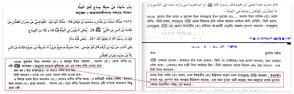 জান্নাতে মানুষের বয়স কত হবে? জান্নাতে