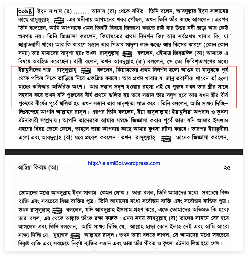 ইসলামী বিশ্বাসে সন্তানের চেহারা কার মত হবে? 4 সন্তানের 3