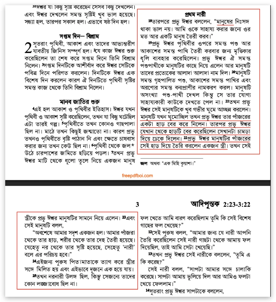আদম-হাওয়ার উদ্ভট মিথঃ বিজ্ঞান ও প্রমাণের আলোকে হাওয়া
